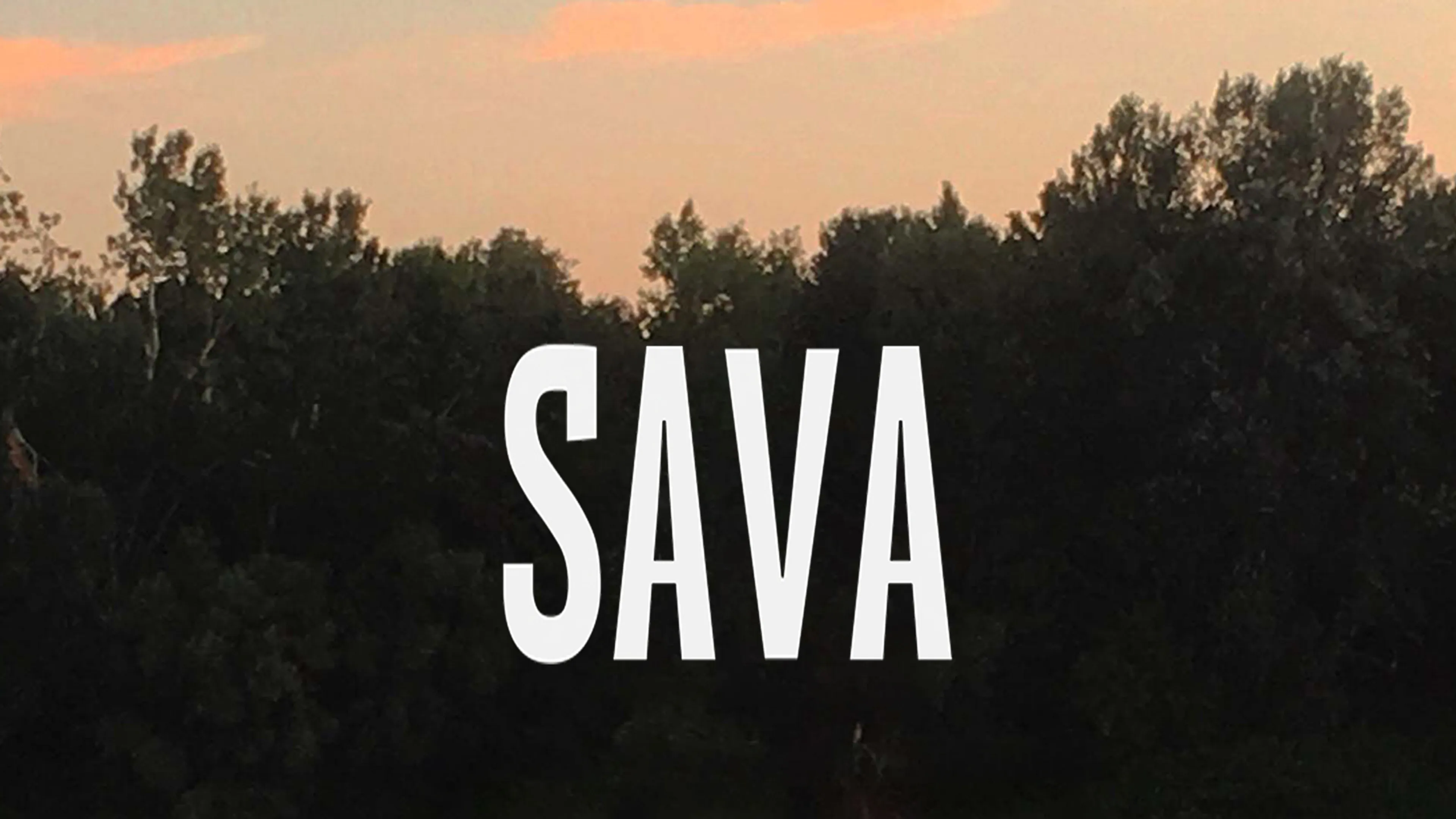 Sava poster